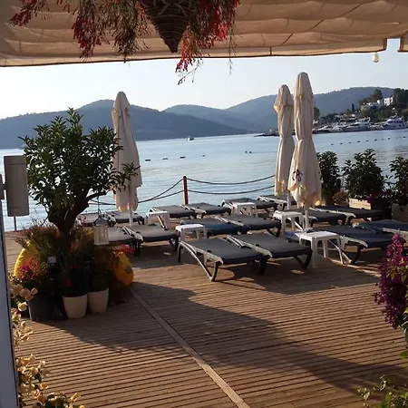 Buk Beach Club Golturkbuku